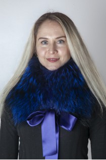 Electric blue Finnraccoon  fur collar-neck warmer